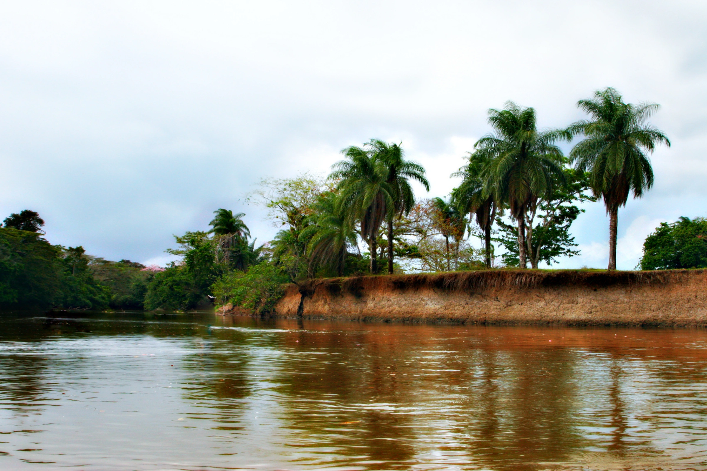Caño_Negro[1].webp